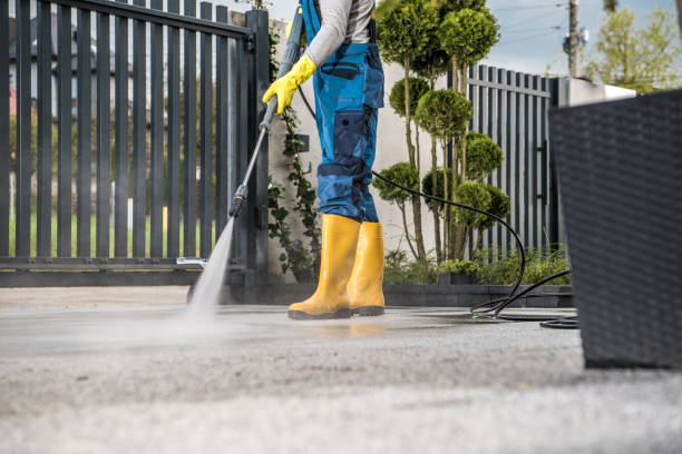 Animal Enclosure Cleaning in Yulee, FL